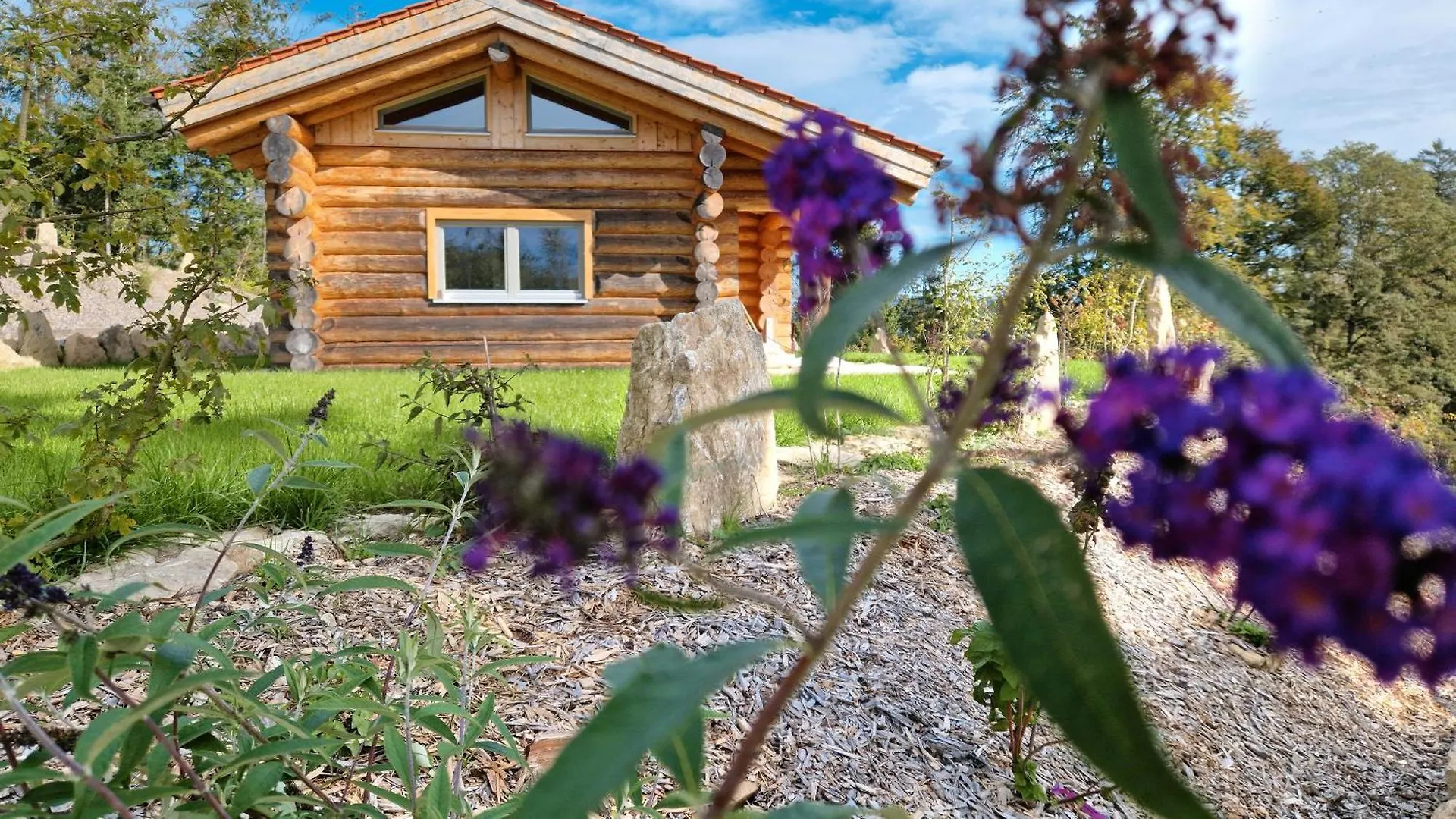 Franz Josefs Chalets Untergriesbach 0*,  ألمانيا