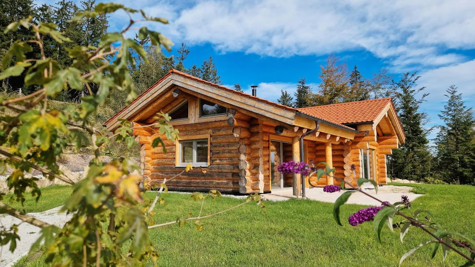 Franz Josefs Chalets Untergriesbach 0*,  ألمانيا